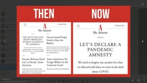 Read more about the article Instead of declaring a pandemic amnesty  how about declaring a pandemic tribunal?