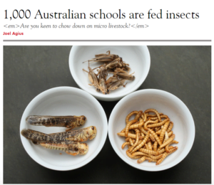 Read more about the article Governments are feeding bugs to children in schools since indoctrination works best on children.