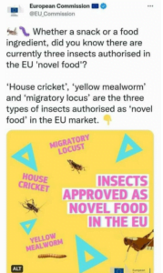 Read more about the article The future of our food is in the bugs. (1)