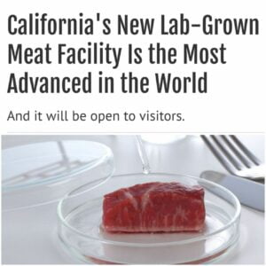 Read more about the article The Fake Meat Agenda. (2)
