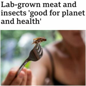 Read more about the article The future of our food is in the bugs. (2)
