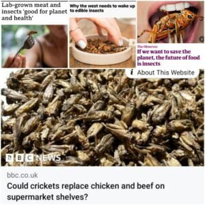 Read more about the article The media is also being used in the bug-eating agenda to prepare nations for this “turning point” in the food industry.
