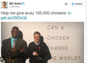 Read more about the article When Bill Gates decided to donate chickens to Africa. (2)