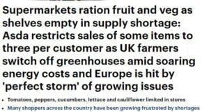 Read more about the article Fruit and vegetables are being rationed in supermarkets in UK with some items being restricted to three per customer.