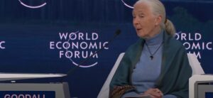 Read more about the article Dr Jane Goodall on World Depopulation at the World Economic Forum.