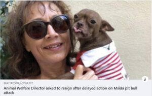 Read more about the article Anton Refalo blamed the Animal Welfare Director Patricia Azzopardi for his incompetence: The Island Sanctuary describes Azzopardi’s dismissal as disgusting.