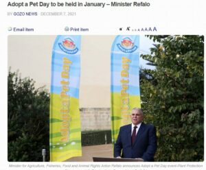 Read more about the article Can Minister Anton Refalo verify that he had handed out confiscated pure-bred dogs to his Gozitan friends and to ‘important’ people without adhering to the animal welfare department’s regulations and procedures?