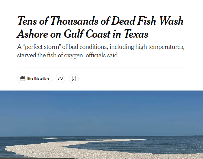 Read more about the article Tens of thousands of fish have washed ashore the Texas Gulf Coast.