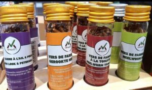 Read more about the article Shelves in French supermarkets are slowly being stocked  with worms and insects in colourful packages
