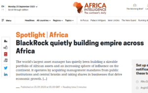 Read more about the article How Blackrock is building an empire in African countries while Europe and America are being destroyed with a high influx of illegal immigrants