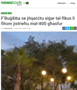 Read more about the article After the massacre of the Mosta Trees, it is now the turn of those in a parking lot in Buġibba. Why do the authorities in this country hate trees?