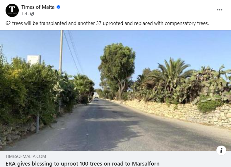Read more about the article A posthumous article in memory of the trees on the road to Marsalforn